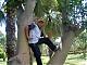 ������ ������� ayman2aly